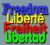 thierry-5678